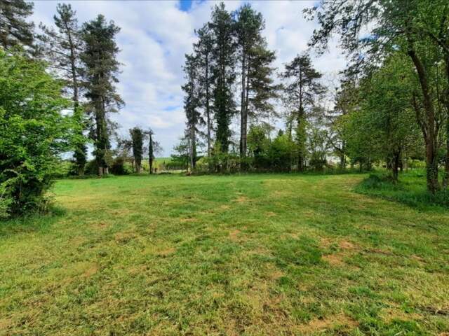 Terrain 3000 m² à Valençay — photo du bien