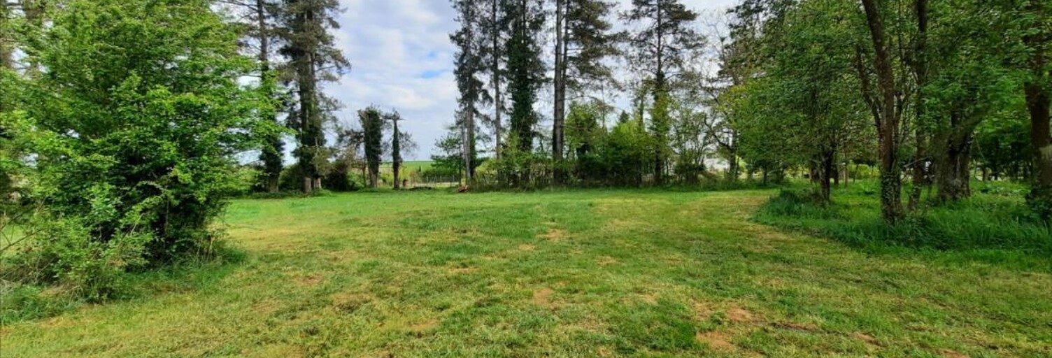 Terrain  3000 m² à vendre à Valençay (36600)