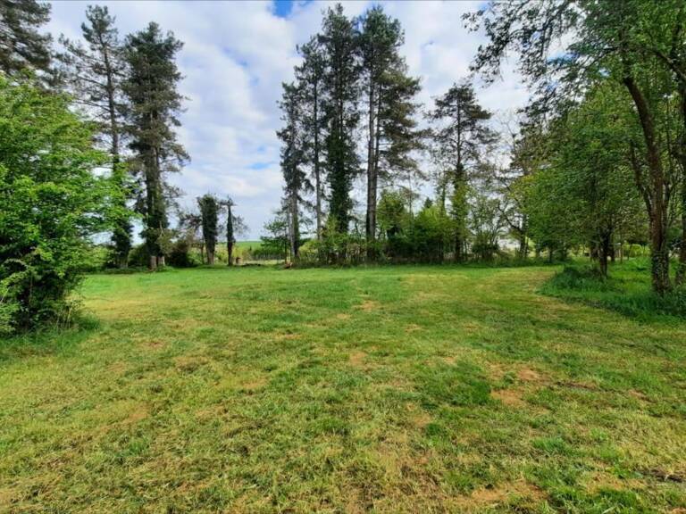Terrain à construire  3000 m²  — photo 1