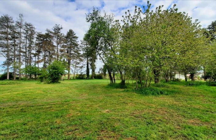 Vente terrain  3000 m² Valençay (36600) — photo 4