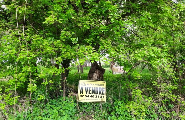 Vente terrain  3000 m² Valençay (36600) — photo 5