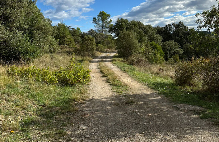 CEVENNES MERIDIONNALES  :  MAS FAMILIAL EN PIERRE — photo 2