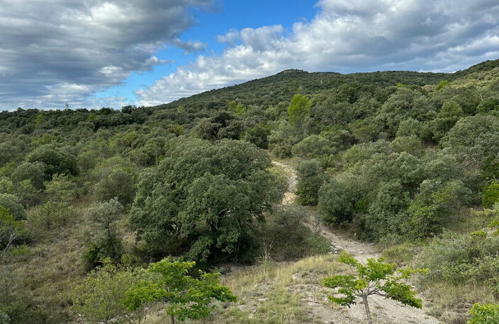 CEVENNES MERIDIONNALES  :  MAS FAMILIAL EN PIERRE — photo 3