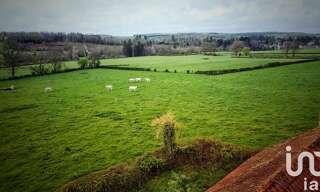 Photo N° 4