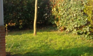 Photo N° 6