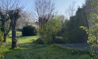 Photo N° 15