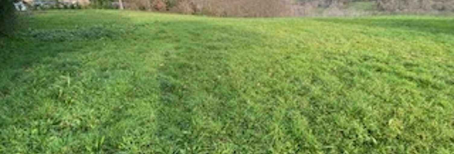 Terrain  2000 m² à vendre à Lalongue (64350)