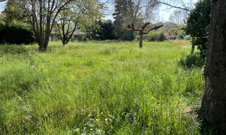 Photo N° 3