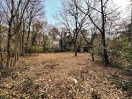 Terrain à Bâtir  - 459 m2 libre constructeur — photo 2