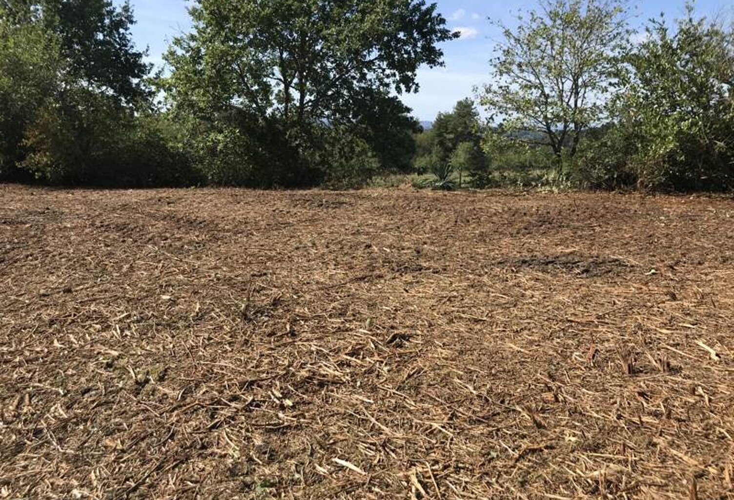 Terrain à bâtir de 0 pièces principales — photo 1