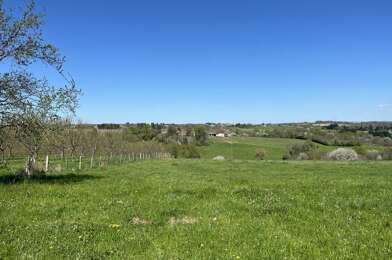 Terrain  29000 €