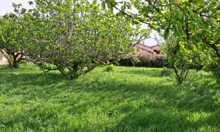 Terrain  675 m² à vendre à Entraigues-sur-la-Sorgue (84320)