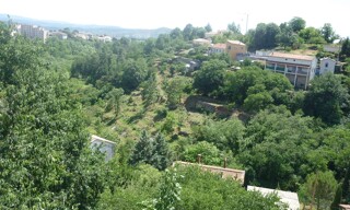 Photo N° 3