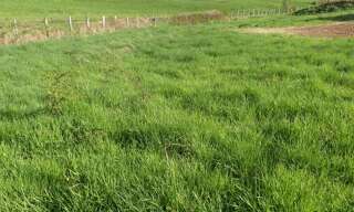 Terrain  1200 m² à vendre à Semur-en-Auxois (21140)