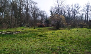 Photo N° 4