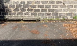 Photo N° 8