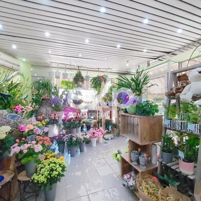 Commerce 7 pièces 254840 €