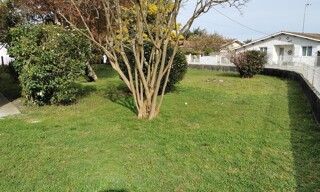 Photo N° 3