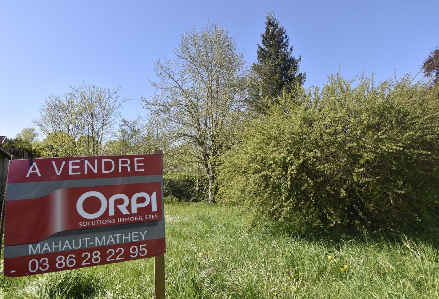 Terrain À Vendre — photo 1