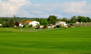 Photo N° 6