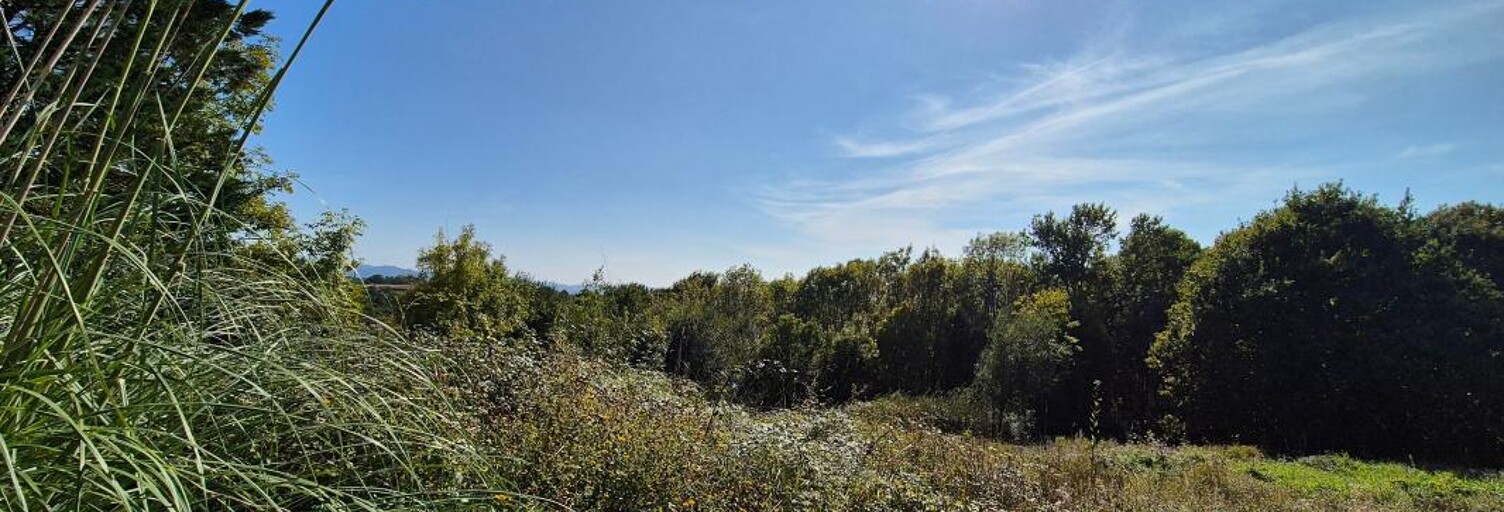 Terrain  2141 m² à vendre à Saint-Pierre-d'Irube (64990)