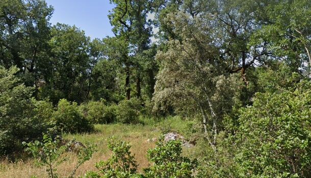 Terrain  à vendre Brignoles 83170