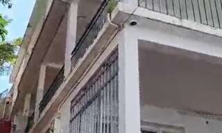 Maison 22 Pièces 569 m² à vendre à La Trinité (97220)