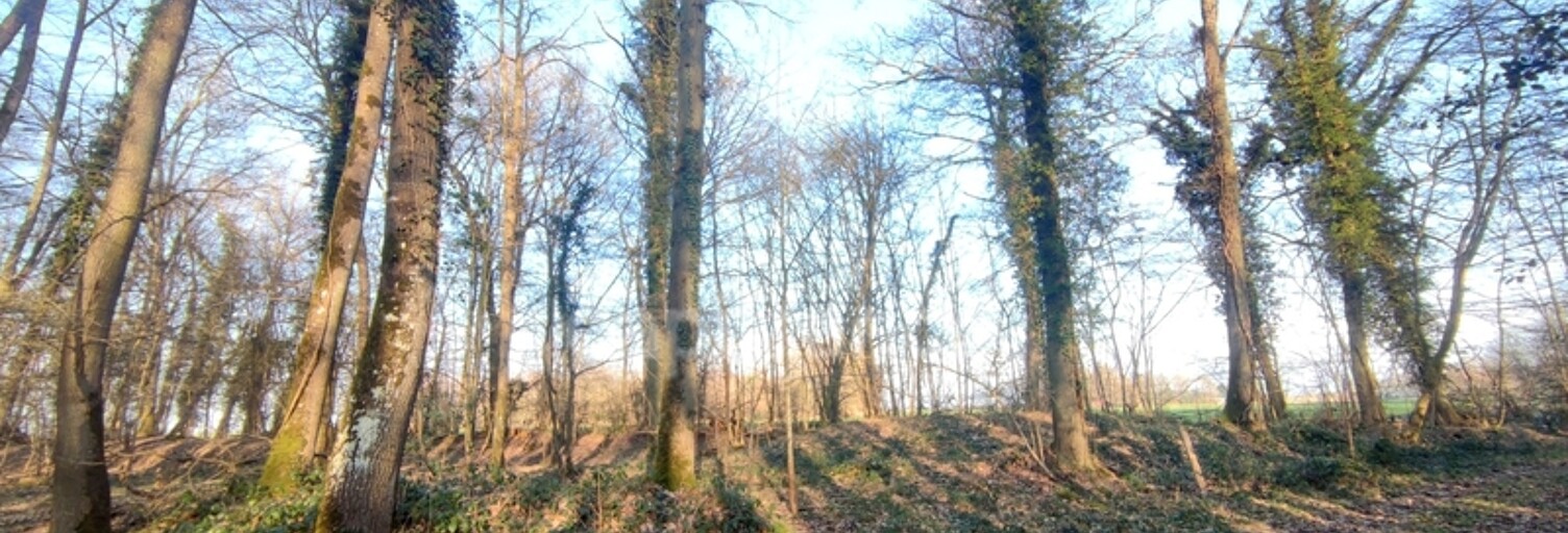 Maison  3640 m² à vendre à Sylvains-Lès-Moulins (27240)