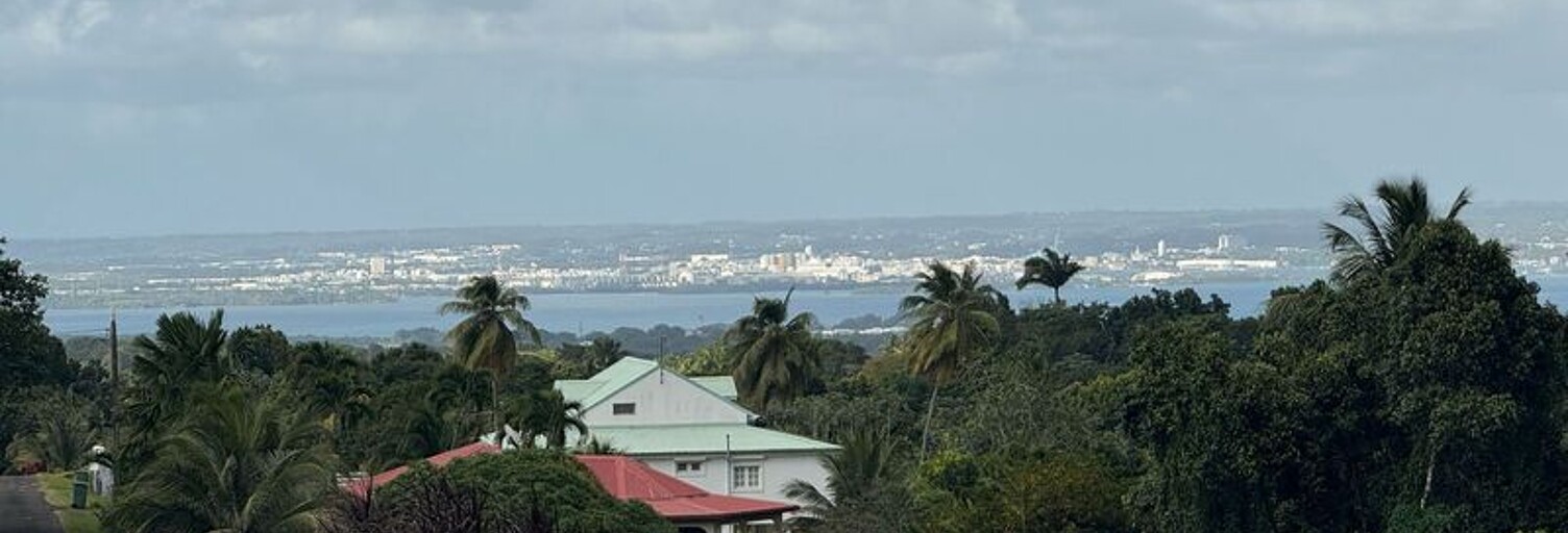 Appartement 1 Pièce 517 m² à vendre à Petit-Bourg (97170)