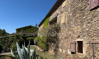 Photo N° 4