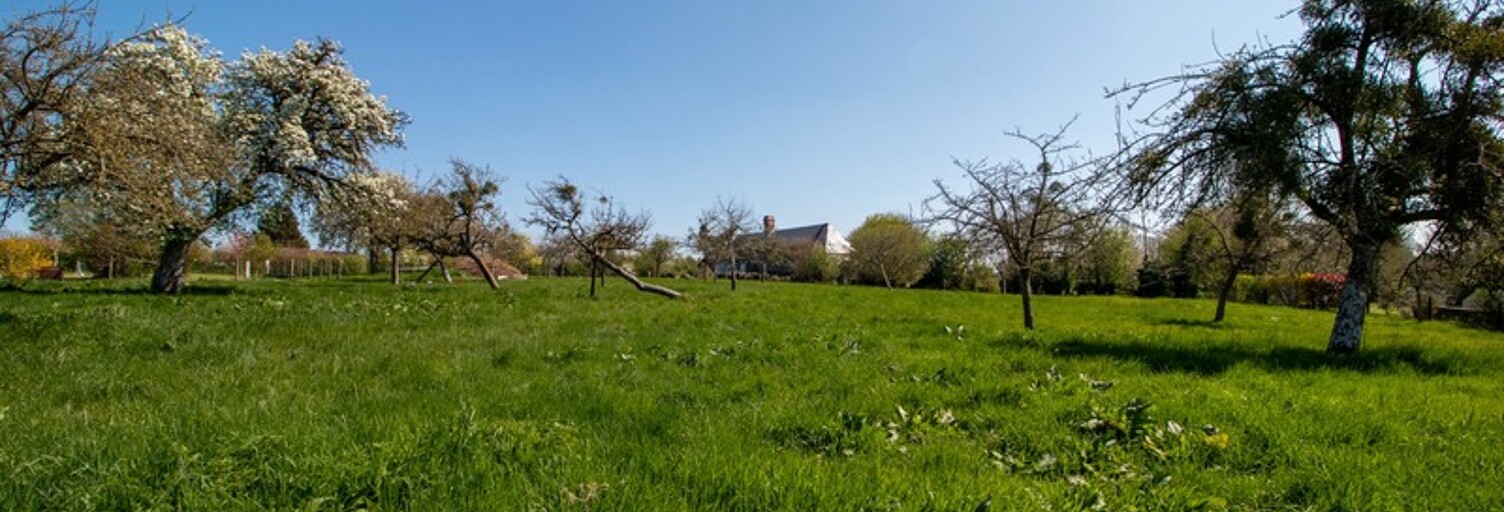 Terrain  4000 m² à vendre à Aubry-le-Panthou (61120)