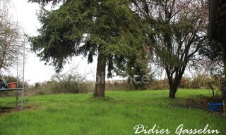 Photo N° 8