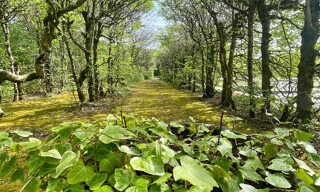 Photo N° 3