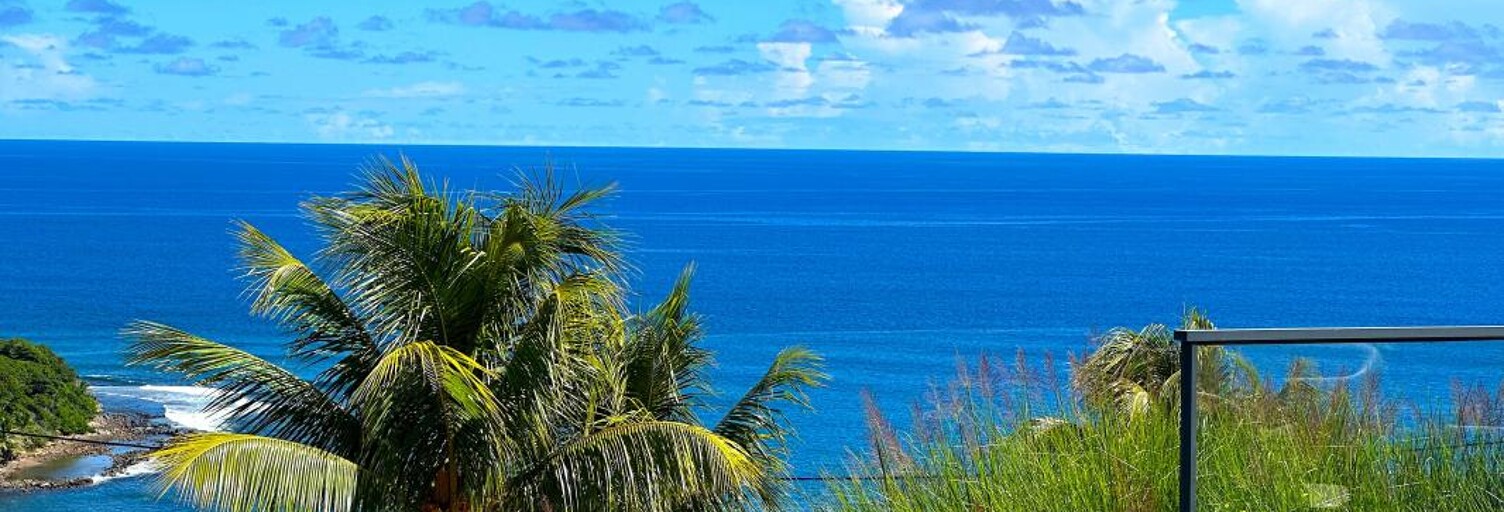 Maison 4 Pièces 364 m² à vendre à Le Marigot (97225)