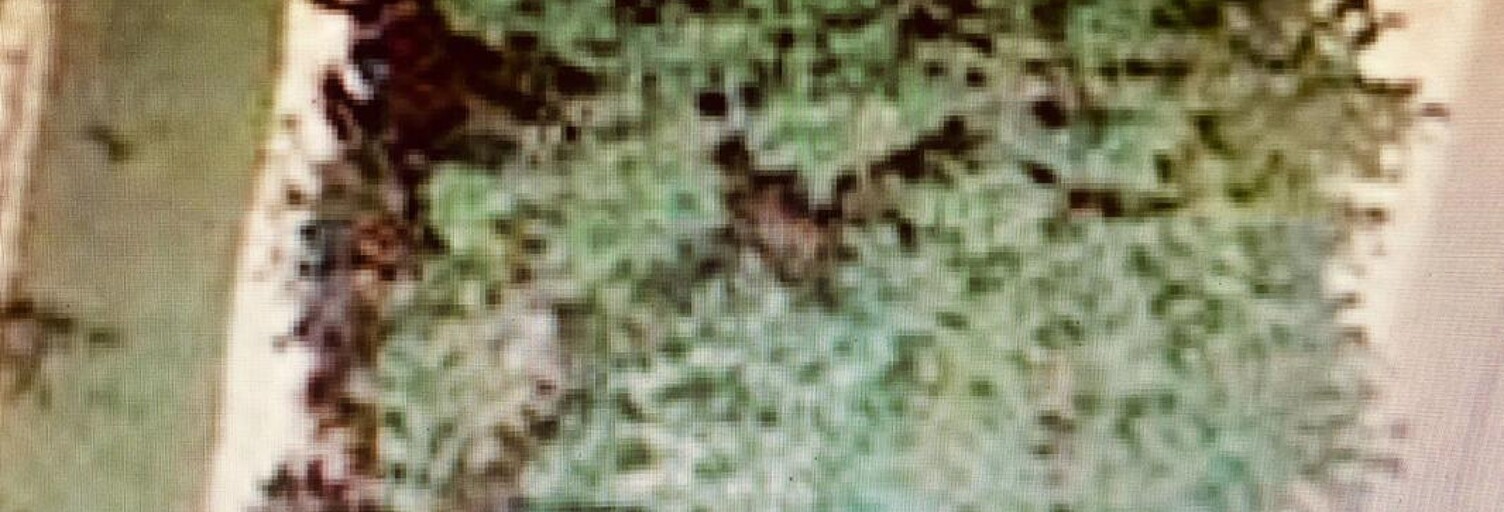 Terrain  486 m² à vendre à Marboz (01851)