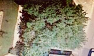 Terrain  486 m² à vendre à Marboz (01851)