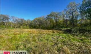 Terrain  6804 m² à vendre à Villefranche-sur-Cher (41200)