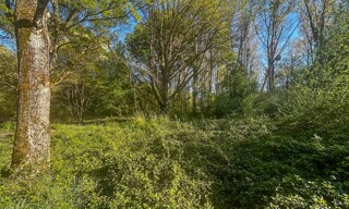 Photo N° 4