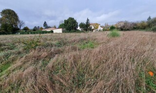 Photo N° 3