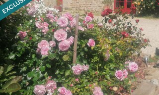 Photo N° 4