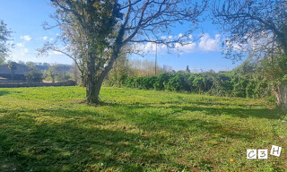 Photo N° 4