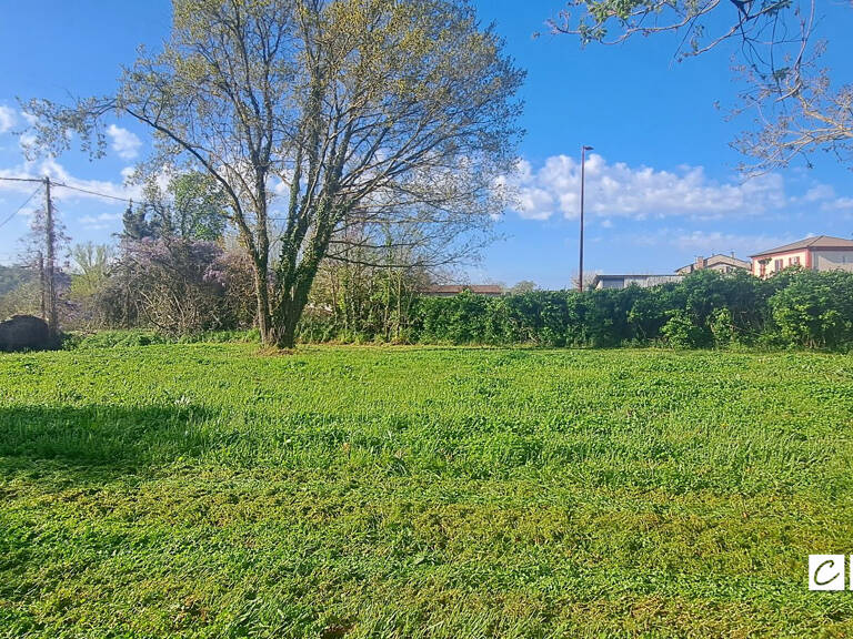 TERRAIN DIVISIBLE — photo 1