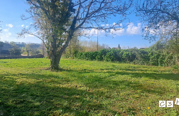TERRAIN DIVISIBLE — photo 4
