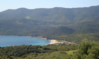 Maison 3 Pièces 67 m² à vendre à Serra-di-Ferro (20140)
