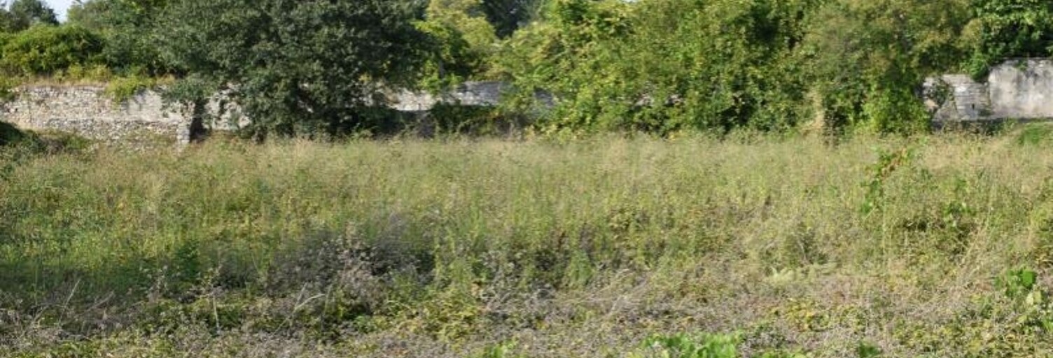 Terrain 550 m² à construire Maillane (13910)