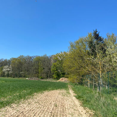 Terrain  86000 €