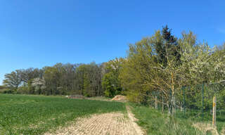 Terrain  14951 m² à vendre à Tourneville (27930)