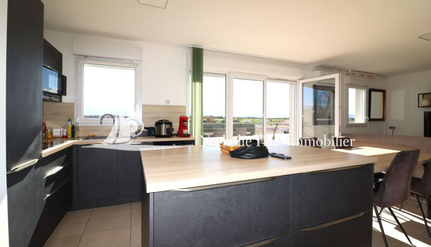 Appartement 3 pièces  à vendre Pollestres 66450