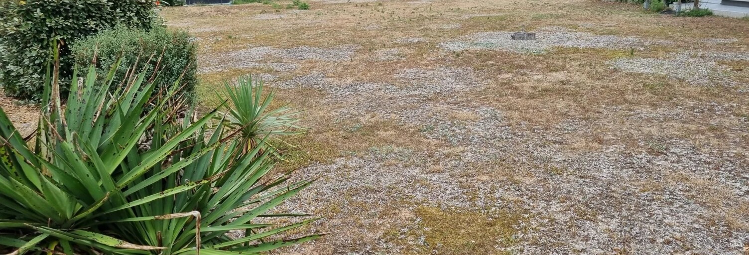 Terrain  650 m² à vendre à Moncé-en-Belin (72230)