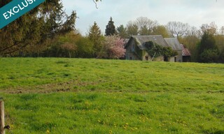 Photo N° 4